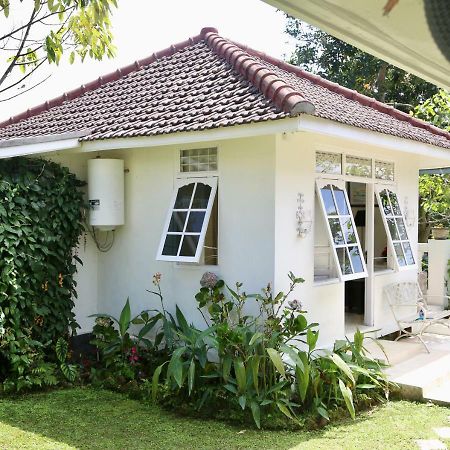 Pondok Plantation Luxury Mountain Escape Bedugul Bedugul  Kültér fotó