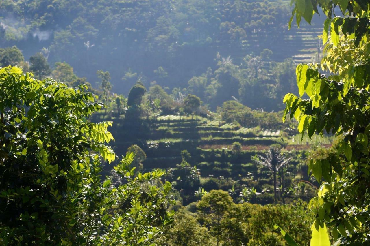 Pondok Plantation Luxury Mountain Escape Bedugul Bedugul  Kültér fotó