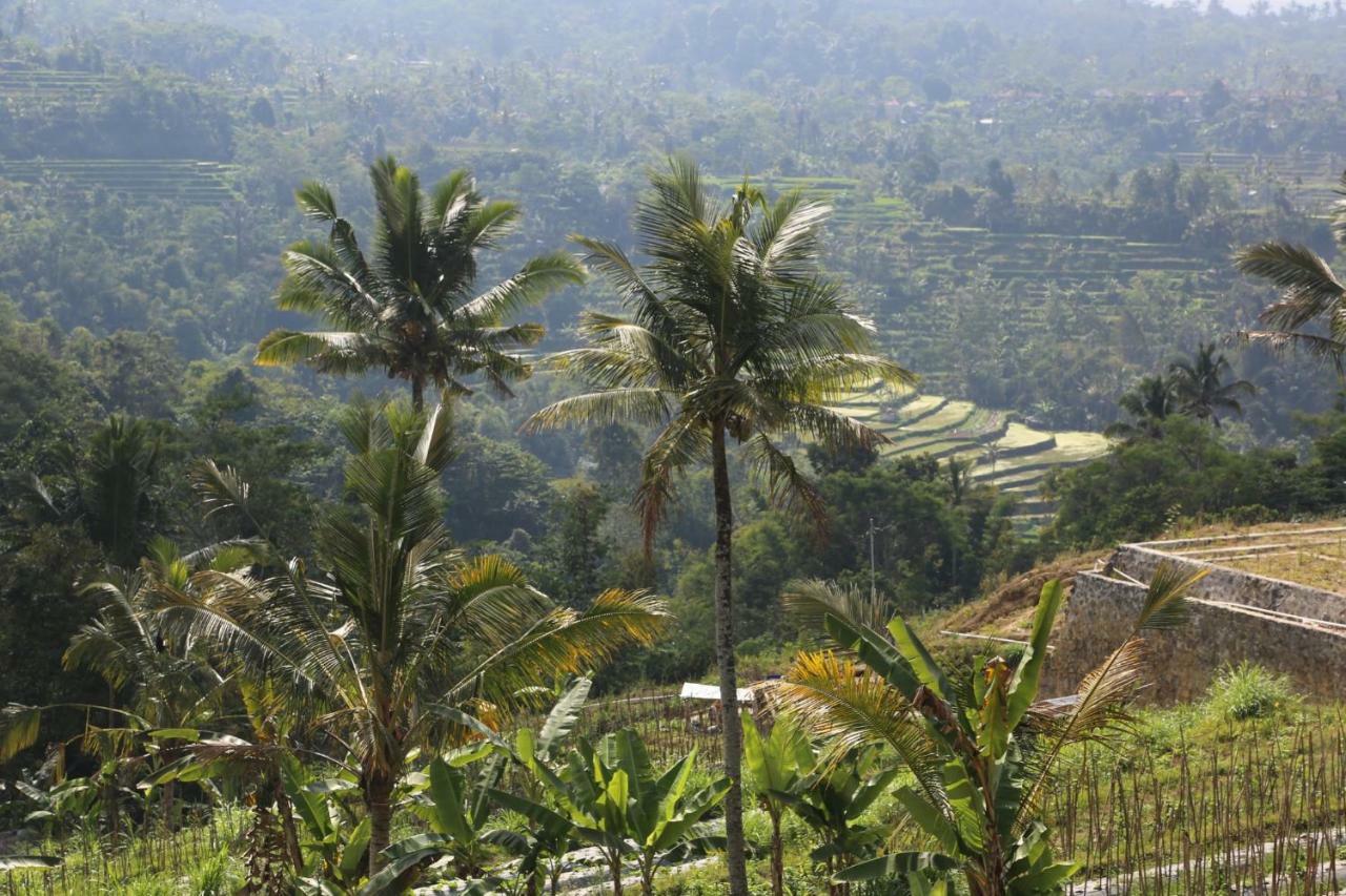 Pondok Plantation Luxury Mountain Escape Bedugul Bedugul  Kültér fotó