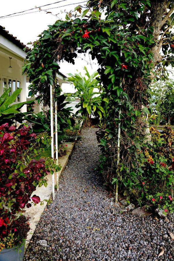 Pondok Plantation Luxury Mountain Escape Bedugul Bedugul  Kültér fotó