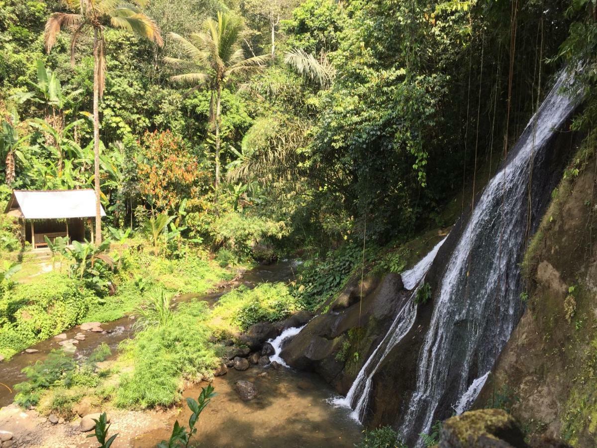Pondok Plantation Luxury Mountain Escape Bedugul Bedugul  Kültér fotó