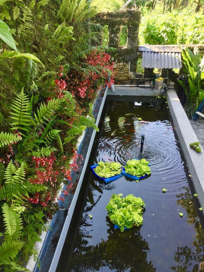 Pondok Plantation Luxury Mountain Escape Bedugul Bedugul  Kültér fotó