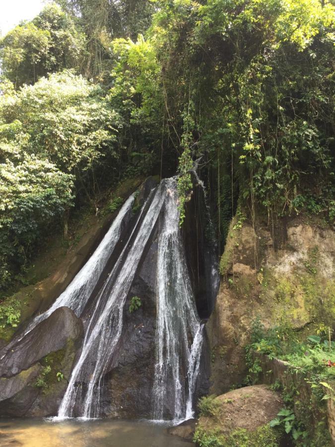 Pondok Plantation Luxury Mountain Escape Bedugul Bedugul  Kültér fotó