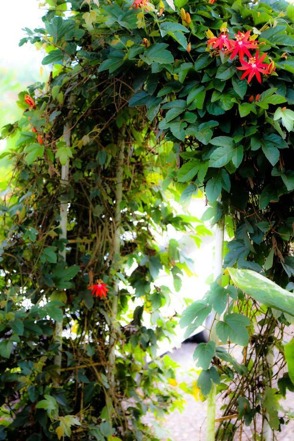 Pondok Plantation Luxury Mountain Escape Bedugul Bedugul  Kültér fotó