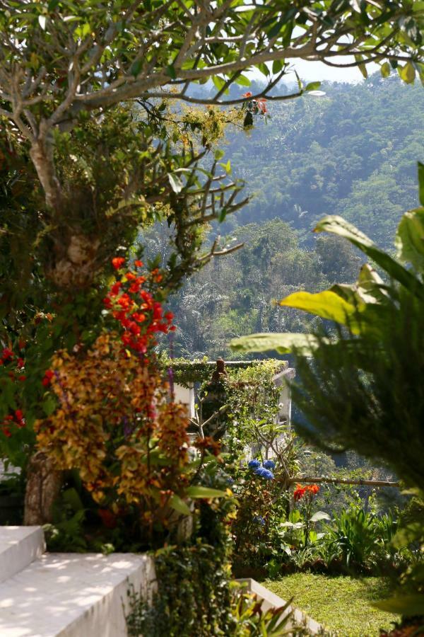 Pondok Plantation Luxury Mountain Escape Bedugul Bedugul  Kültér fotó